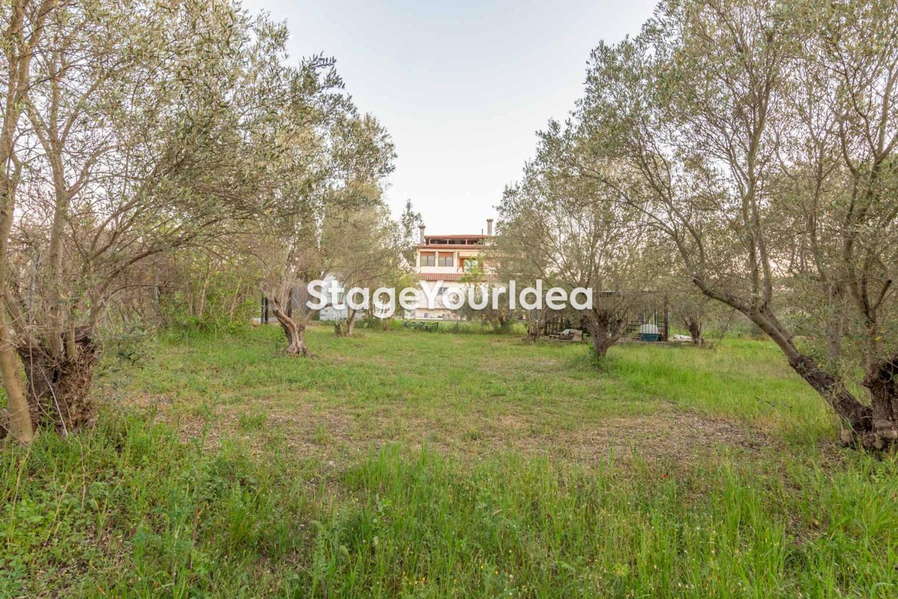 Apartment Lux - One Bedroom , Living , Kitchen , Bathroom - For 1 To 7 People, Also For Parties & Gatherings Up To 25 People, Only 15 Minutes From Thessaloniki Center And 8' Minutes From Thessaloniki Airport
